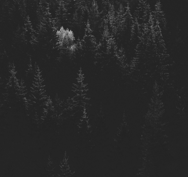 Dedicación Exclusiva